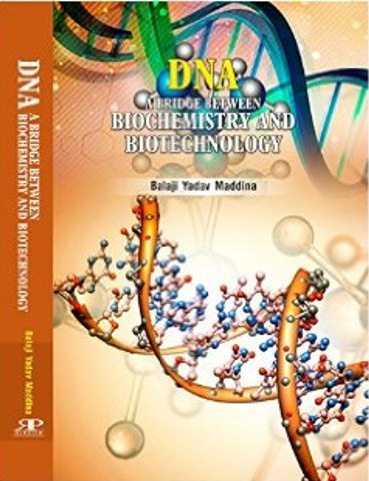 DNA : a bridge between biochemistry and biotechnology
